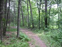 Pathway